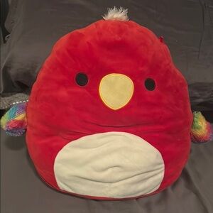 Squishmallows Paco the Parrot